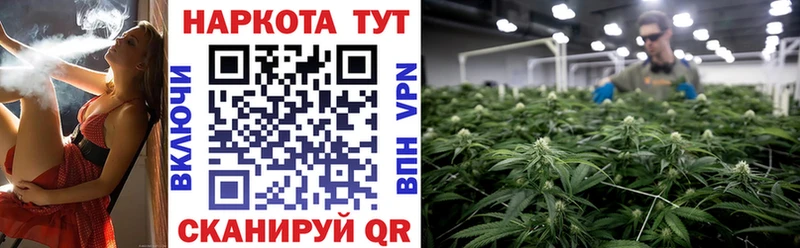 Где продают наркотики Тетюши Alpha PVP Бошки Шишки