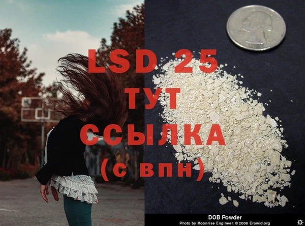 гидра Майский
