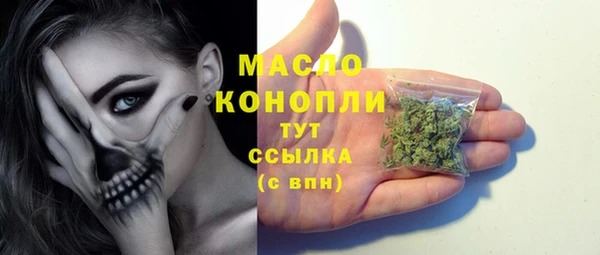 гидра Майский