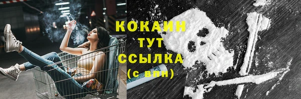 дурь Магас