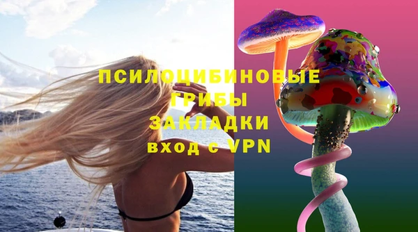 гидра Майский