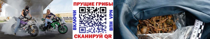 darknet клад  как найти закладки  Тетюши  Галлюциногенные грибы мицелий  omg сайт 